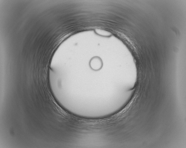 X0000115781177200912111121