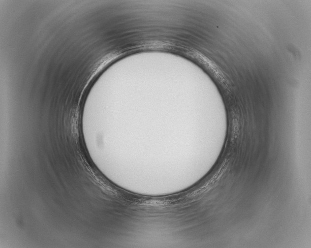 X0000115781178200912111121