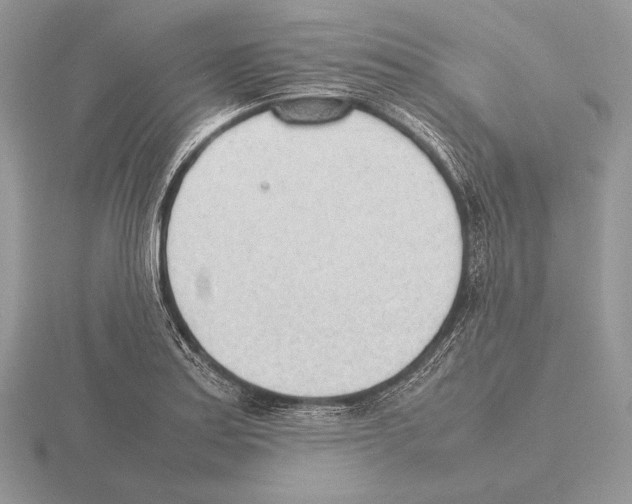 X0000115781179200912111121