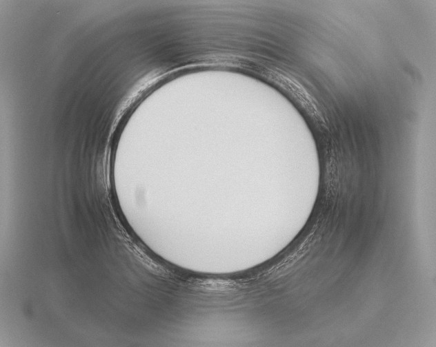 X0000115781180200912111121