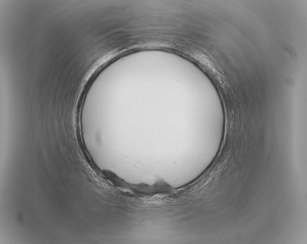 X0000115781181200912111121