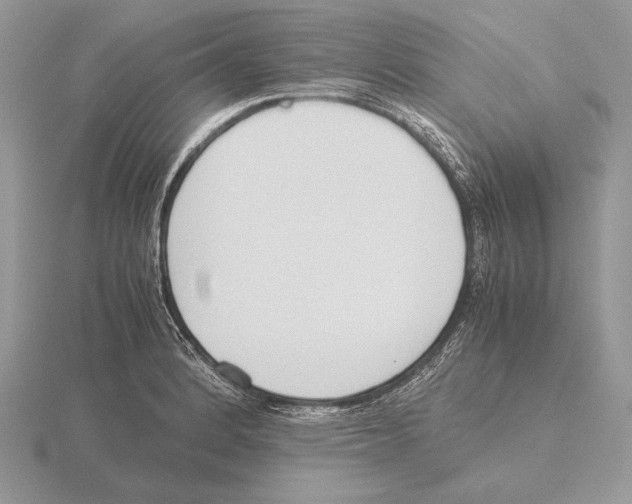 X0000115781184200912111121