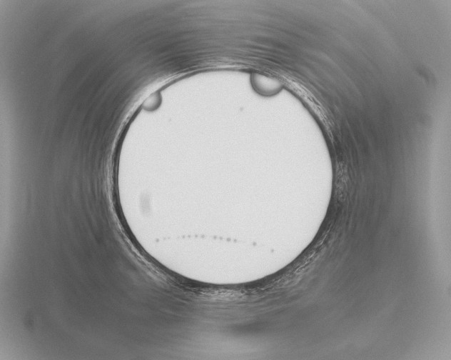 X0000115781187200912111121