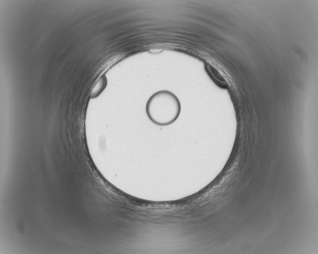 X0000115781193200912111121