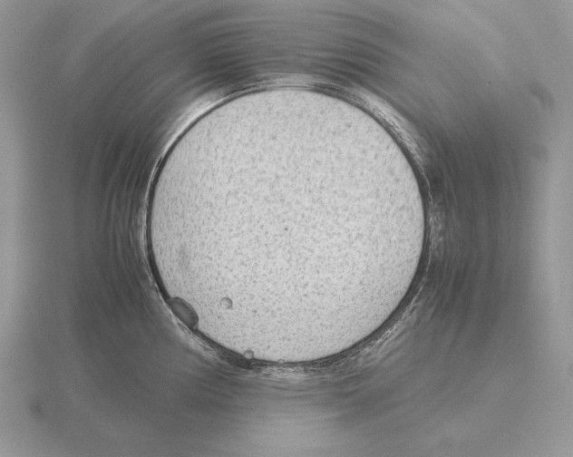 X0000115781194200912111121