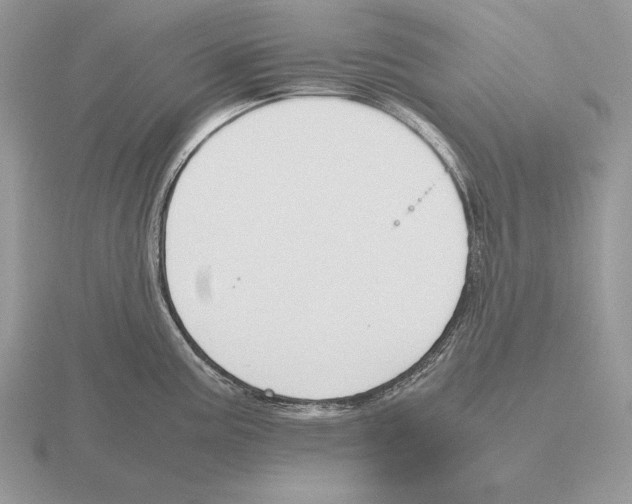 X0000115781195200912111121