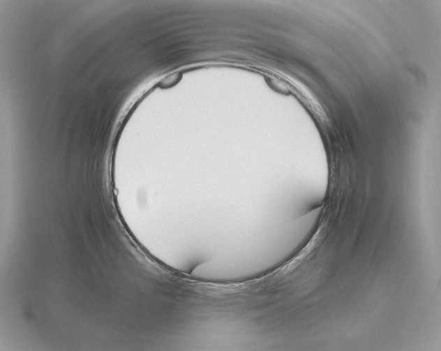 X0000115781196200912111121