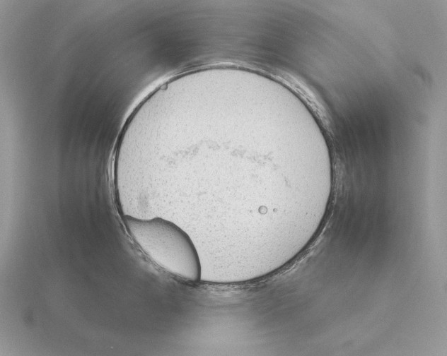 X0000115781198200912111120