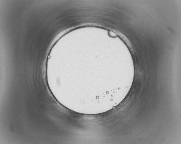 X0000115781199200912111120