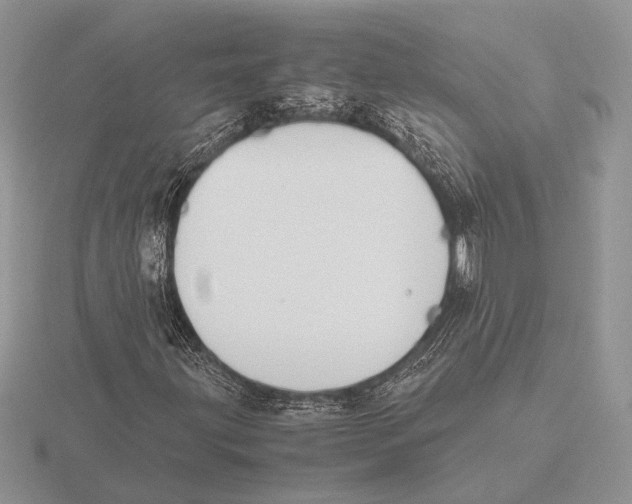 X0000115781203200912111120