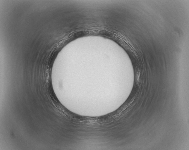 X0000115781204200912111120