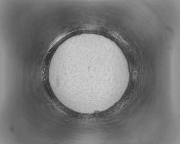 X0000115781208200912111120