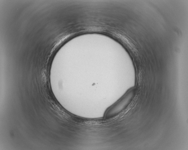 X0000115781212200912111120