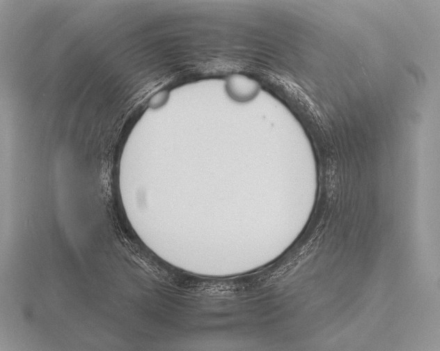 X0000115781217200912111120