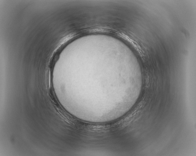 X0000115781219200912111120