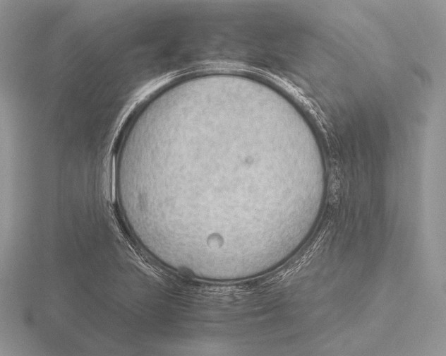 X0000115781223200912111120