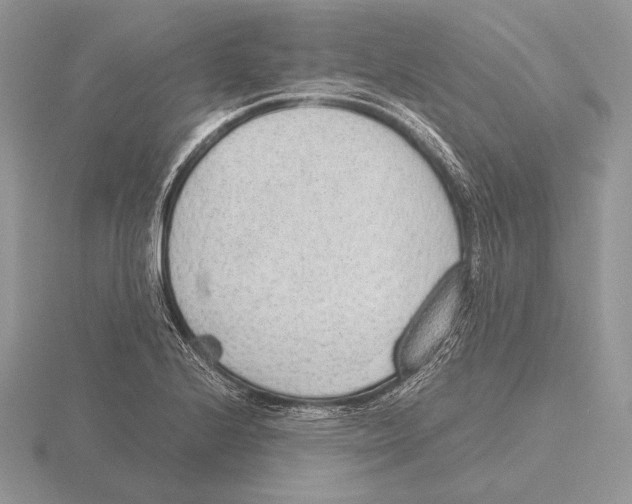 X0000115781224200912111120