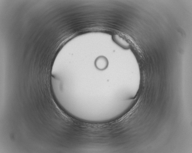 X0000115781225200912111120