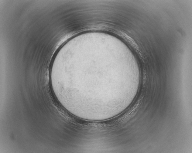 X0000115781226200912111120