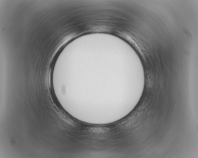 X0000115781227200912111120