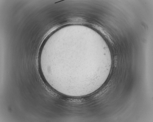 X0000115781229200912111120