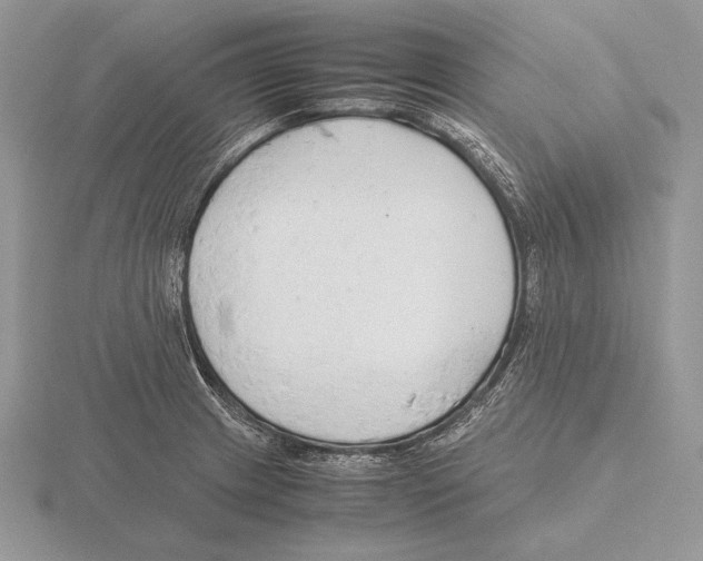 X0000115781233200912111120