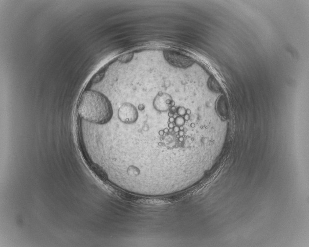 X0000115781235200912111120