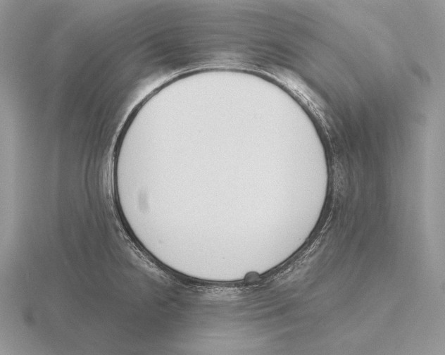 X0000115781238200912111120