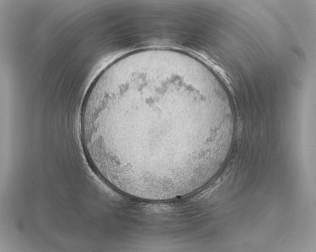 X0000115781239200912111120