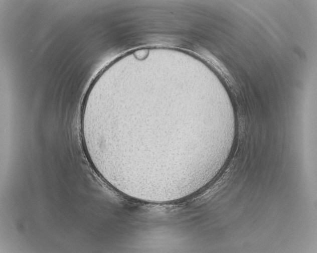 X0000115781240200912111120