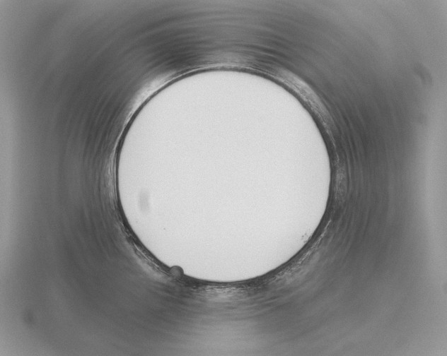 X0000115781242200912111120