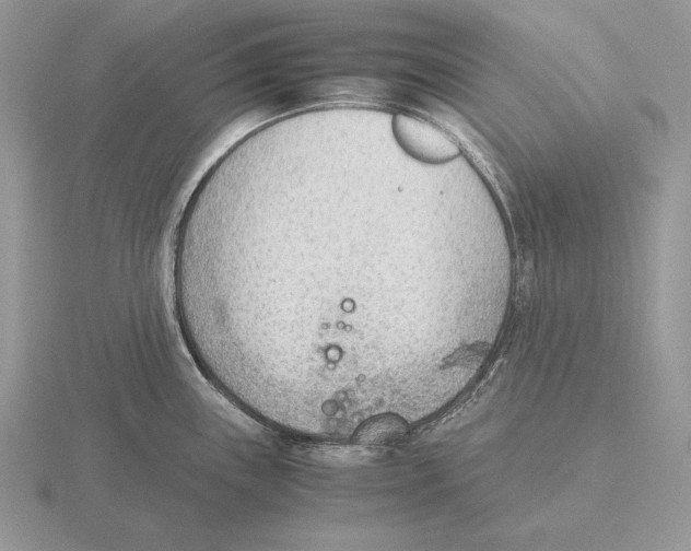 X0000115781243200912111120