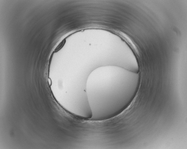 X0000115781244200912111120