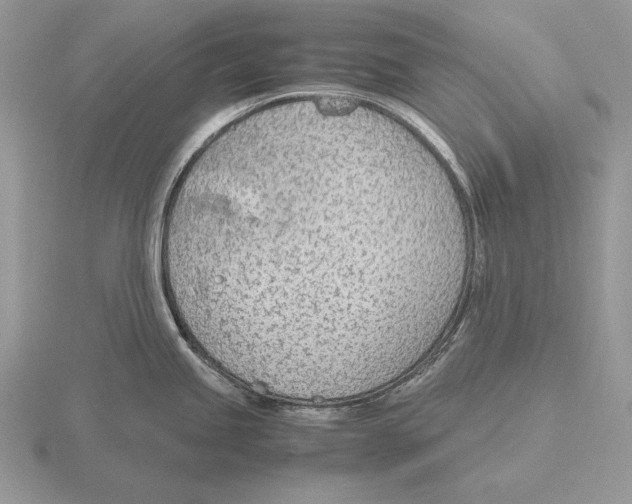 X0000115781245200912111120