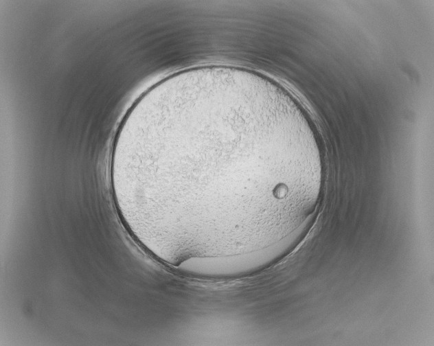 X0000115781246200912111120