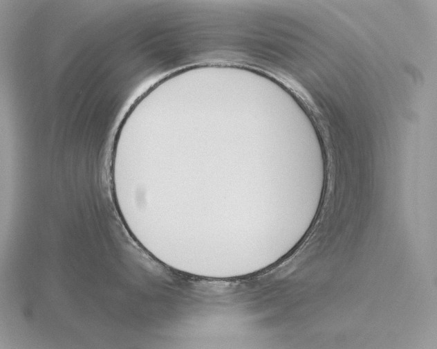 X0000115781248200912111120