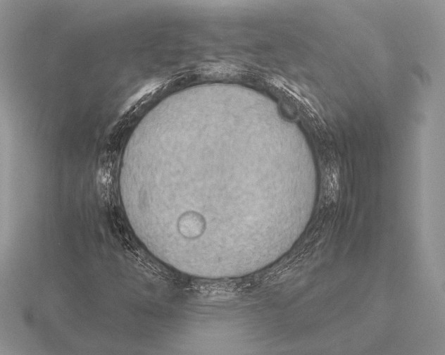 X0000115781254200912111120