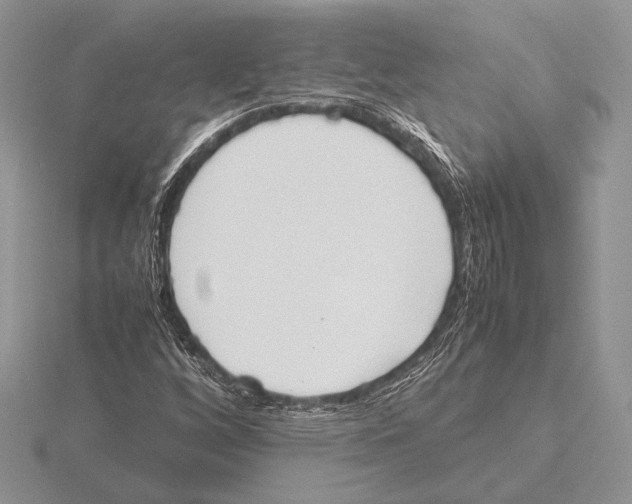 X0000115781256200912111120