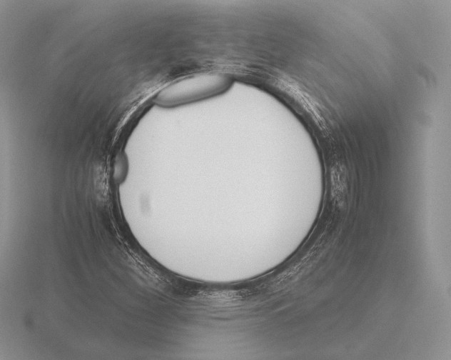 X0000115781260200912111120