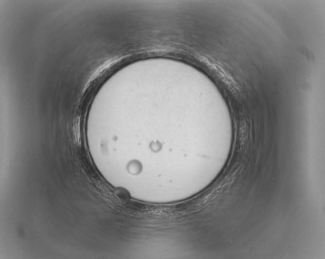 X0000115781262200912111120