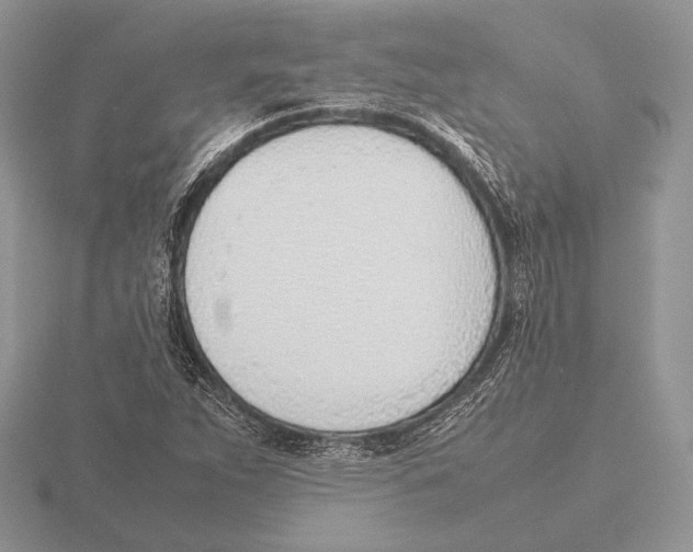 X0000115781263200912111119