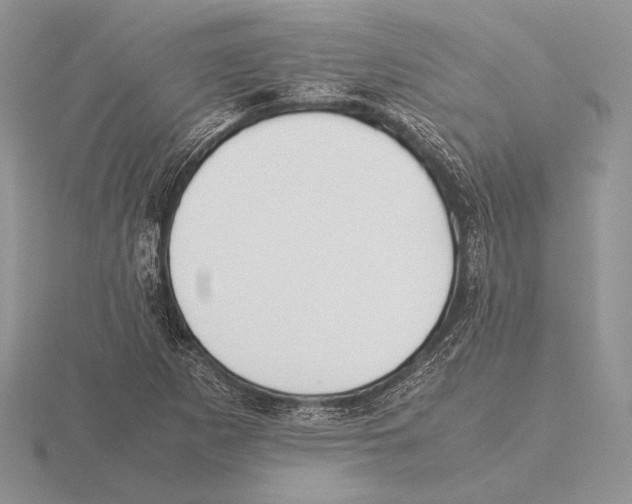 X0000115781265200912111119