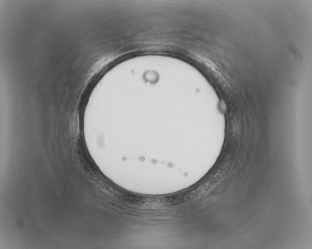 X0000115781267200912111119