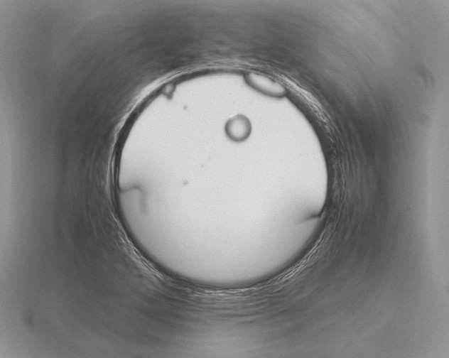 X0000115781272200912111119