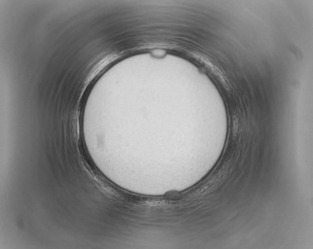 X0000115781274200912111119