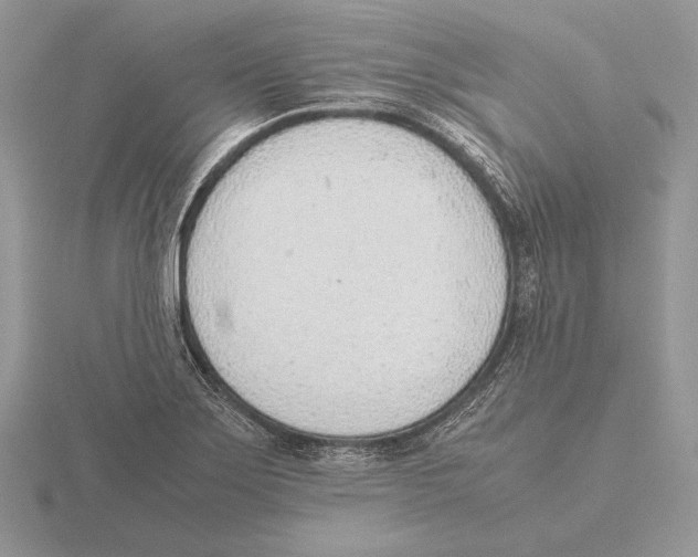 X0000115781275200912111119