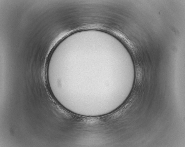 X0000115781278200912111119