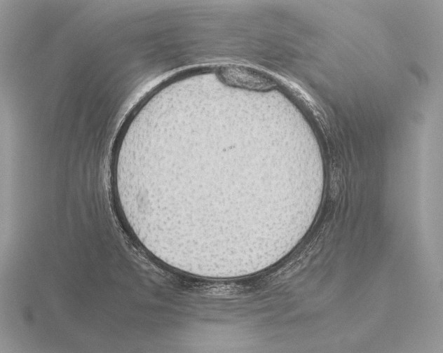 X0000115781279200912111119