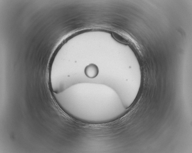 X0000115781280200912111119