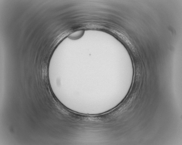 X0000115781281200912111119